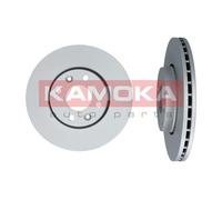 2 x Disco freno Assale anteriore per DACIA NISSAN RENAULT CLIO LOGAN LOGAN MCV M