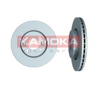 2 x Disco freno Assale anteriore per RENAULT KANGOO KANGOO / GRAND KANGOO KANGOO