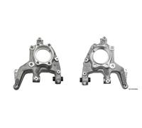 2 X Giunto Direzionale Posteriore Per VW TIGUAN 2007-2018 ZZT/VW/018AB 4MOTION