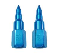 2 x grasso per testa raccordo capezzolo in acciaio antiruggine punta grasso ugello grasso portatile lubrificante accessori