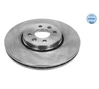 2 x MEYLE 16-15 521 0038 Disco freno per RENAULT