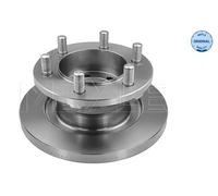 MEYLE Discofreno per IVECO 215 521 0009