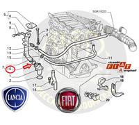 2 x OE 14463580 Guarnizione Tenuta Lubrificazione LANCIA Delta Ypsilon FIAT 500