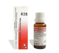 2 X PACK Dr. Reckeweg R28 (Secalen) (22ml) RIMEDIO AYURVEDICO PURO