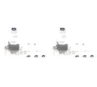 2 x Perno braccio oscillante NIPPARTS per NISSAN, OPEL, RENAULT ESPACE IV, 2