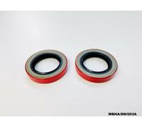 2 X Posteriore Semiasse Esterno Guarnizione per Dodge RAM Dakota 23.5cm 21cm