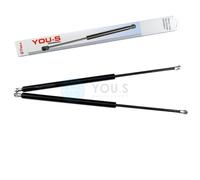 2 x YOU.S Gasfeder Per BMW X5 (E53) - Heckklappe