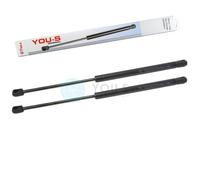 2 x YOU.S Gasfeder Per CASE IH/IHC Maxxum 5120 5130 5140 5150 - Heckscheibe
