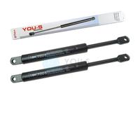 2 x YOU.S Gasfeder Per Case IH Maxxum 5120 5130 5140 5150 - Dachluke