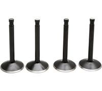 20-22100 KIT VALVOLE MOTORE BLACK DIAMOND™ HARLEY FLF 1200 HYDRA GLIDE 1954