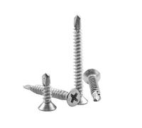 20-30 pezzi di viti autoperforanti a testa svasata con impronta a croce in acciaio inossidabile M3,5-M5,5, per lamiera metallica, M5.5x19mm(20 pezzi)