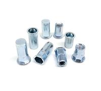 20/40/100 pezzi M6 M8 Dado rivetto in acciaio al carbonio Testa piatta Piccola svasata Filettatura cieca Inserto esagonale semi-esagonale Rivnut Nutsert(Type A,20pcs M6)
