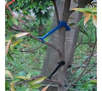20 accessori per piante per sostenere i rami degli alberi da frutto e migliorare la resa
