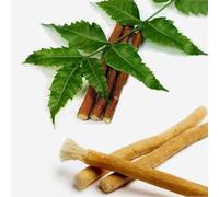 20 bastoncini da masticare etenicindiani di NEEM DATUN per la pulizia orale dei denti e della lingua, tradizionale per la pulizia dei denti, previene la carie e le gengive, bastoncini da masticare