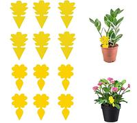 20 Bastoncini Per Mosche a Doppia Faccia, Tavolette Adesive Usa e Getta Per Trappole Per Insetti, Trappole Per Cimici, Adatte a Tutti i Tipi di Insetti e Zanzare, Giardini di Piante da Interno