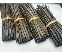 20 Borbone Vaniglia Capsule Madagascar Chicchi Grado A 13-17 CM 2023 Premium