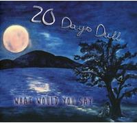 20 Days Dull - What Would You Say