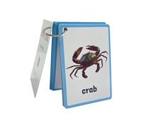 20 fogli di carta didattica di animali marini, 11 x 8 cm, carte educative per imparare il vocabolario, per bambini, viaggio portatile