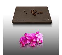 20 graines Fleurs à semer - Le Grenier d'Abondance - POIS DE SENTEUR - Lathyrus Odoratus