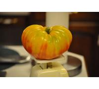 20 graines of tomato multicoloured BIG (Lycope rsicum esc.) K40 Tomato Seeds Seeds ONLY