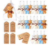 20 mini orsetti di peluche ripieni, etichette di ringraziamento, sacchetto in organza, 4 colori per baby shower, compleanni, bomboniere