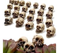 20 mini teschi decorativi, piccoli giocattoli realistici in resina a forma di teschio, statuetta a forma di teschio scherzo, decorazione per feste, accessori fai da te, ornamenti per vasi da giardino