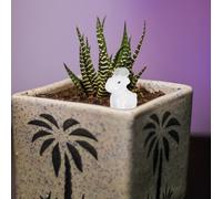 20 Pcs Cose in Miniatura Piccole Figurine Di Animali Figure Piccoli