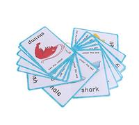 20 Pcs-Sea animals flash cards-Preschool Educational Learning Toys & Learning Picture Word cards(English word learning cards & pocket size flash cards for children)12x9cm-English Vocabulary Cards