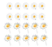 20 pezzi da 20 pezzi di adorabili forchette per adorabili per