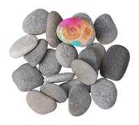 20 pezzi di ciottoli per dipingere piccole rocce naturali di fiume, pietre di