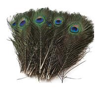 20 Pezzi di Piume di Pavone Naturali per la Creazione di Gioielli Fai-da-Te: Comprende Piume di Coda e Occhio di Pavone con Fiori in Materiale Piuma Ideali per Composizioni di Orecchini.