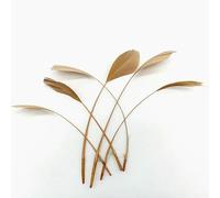 20 pezzi di piume d'oca fai da te acchiappasogni decorazione abiti da sposa cappello copricapo piume forniture artigianali per accessori da ricamo - piume cachi - 20 pezzi