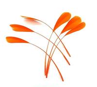 20 pezzi di piume d'oca fai da te acchiappasogni decorazione abiti da sposa cappello copricapo piume forniture artigianali per accessori da ricamo - piume arancioni - 20 pezzi