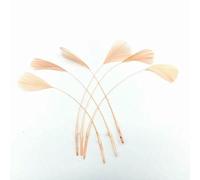 20 pezzi di piume d'oca fai da te acchiappasogni decorazione abiti da sposa cappello copricapo piume forniture artigianali per accessori da ricamo-champagne-20 pezzi