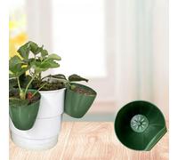 20 Pezzi di Vaso per Piantine di Fragole, Versatile per Il Trapianto, Accessorio