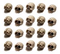 20 Pezzi Mini Teschi Decorativi, Piccole Teste Di Scheletri Finte, Set di Teschi in Miniatura, Teschio Umano Decorare, per Oggetti di Scena per Foto Halloween Decorazioni Feste Paesaggio Accessori