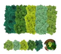 20 Pezzi Muschio Artificiale Decorativo,Lichene Stabilizzato Naturale Muschio Stabilizzato Muschio Finto per Decorazioni Vasi Quadro (200g)