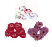 20 Pezzi Pressato Secco Vera Fiore Viola Margherita E Rosa Rossa Per La