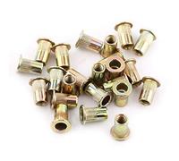 20 Pezzi Rivetti Filettati M10, Inserti Filettati per Dadi a Testa Piatta, M3-M12 Zincati in Acciaio al Carbonio Inserti Filettati Adatto per Legno, Automotive, Mobili