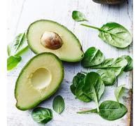 20 pezzi semi di avocado - in espaldera in balcone colonnari resistenti balcone resistenti all'esterno, Semi