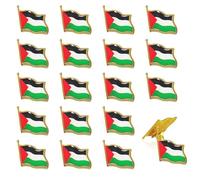 20 Pezzi Spilla Bandiera Palestina Nazionale Pin Badge Metallo Spilla Palestina Piccola per la Decorazione di Vestiti Giacca Zaino Cappelli Abbigliamento Souvenir Regali