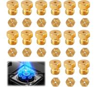 20 pezzi Spruzzatore Gas Butano Universal,Set di Conversione per GPL per Gasina,Fornello e Piastra Cottura Bottiglia Gicler Bruciatore,0.5*3-0.65*2-0.7*4-0.73-0.87*3-0.9-0.95-0.97*2