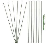 20 Pezzi Supporto per Piante a Stelo Singolo in Metallo e Plastica | Installazione Rapida senza Attrezzi, Sostegno Contro il Vento, per Balcone e Patio, Protegge Fioriture Delicate