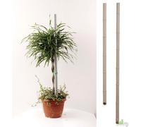 TUTORI TUTORE PVC PER PIANTE PIANTA 20PZ. VIGNA mm. 27 X cm. 210 VASI SOSTEGNO