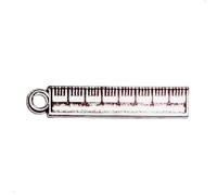20 pz Righello Charms All'ingrosso Righello Ciondolo Perline Argento Antico 25X5mm (NS895)