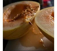 20 Semi Crenshaw melone 110 giorni Delicious, maturo melone!
