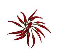 20 semi di peperoncino rosso Thai, by Samenchilishop - semi store-