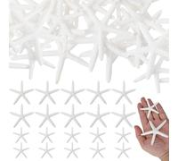 20 stelle marine decorative in resina, stelle marine, 5,8 x 8 cm, per fermaglio per capelli con stella marina, fai da te, decorazione per acquario, festa a tema spiaggia, decorazione per la casa