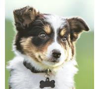 20 tovaglioli a forma di cane carino come decorazione da tavola. Tovaglioli di carta con motivo. Anche per decoupage e decoupage 33 x 33 cm