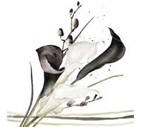 20 tovaglioli a forma di fiori, giardino e natura Calla in bianco e nero come decorazione da tavolo. Tovaglioli di carta con motivo. Anche per decoupage e decoupage 33 x 33 cm